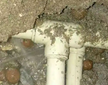 塔什库尔干塔吉克测漏水多少钱