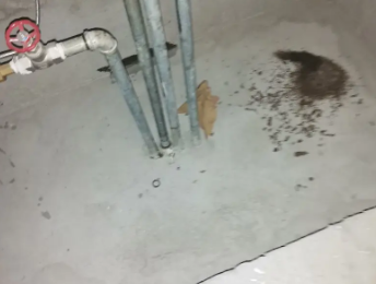 塔什库尔干塔吉克卫生间测漏水价格明细