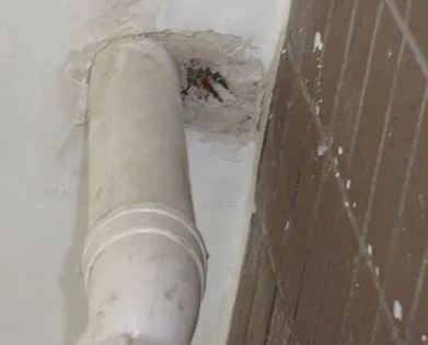 塔什库尔干塔吉克漏水检测哪家好